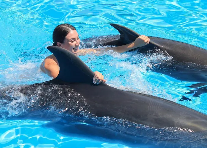 Happy House In Clube Albufeira